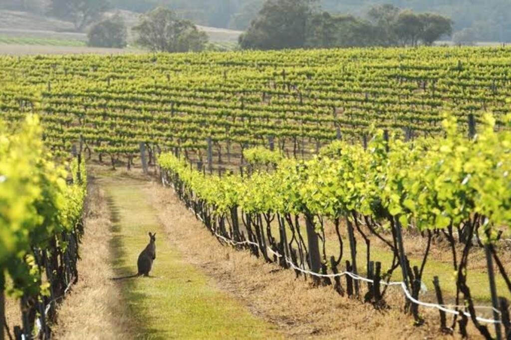 iLBXEVQvmaJBC1PTOnKzlCV2Fo